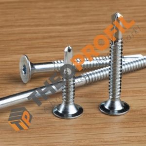 Τρυπανόβιδα Torx - Theoprofil.com