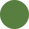 Ral 6017
